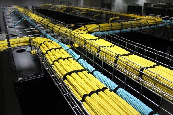 �W�j����